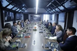 Consejo Asesor Externo FEN