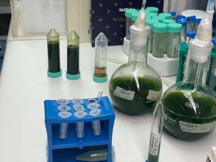 Ingeniería en Biotecnología