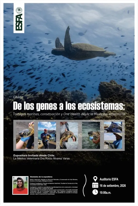 investigación sobre tortugas marinas