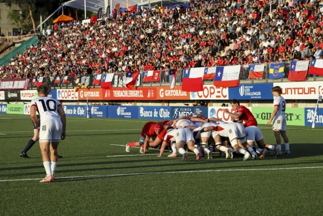 Firma Rugby19