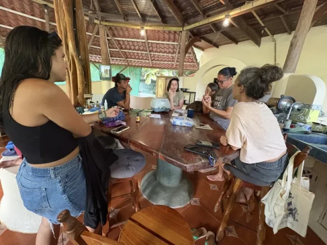 Investigación sobre tortugas marinas