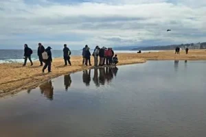 Proyecto erosión de playas