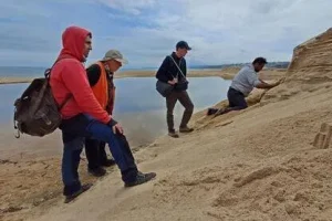 Proyecto erosión de playas