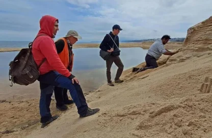 Proyecto erosión de playas