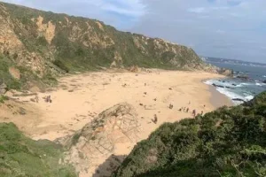 Proyecto erosión de playas