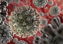 Investigadores de la UNAB trabajan en identificar variantes del coronavirus a lo largo de Chile