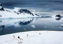 Maravíllate con la exposición de fotos de la Antártica de Andel Paulmann