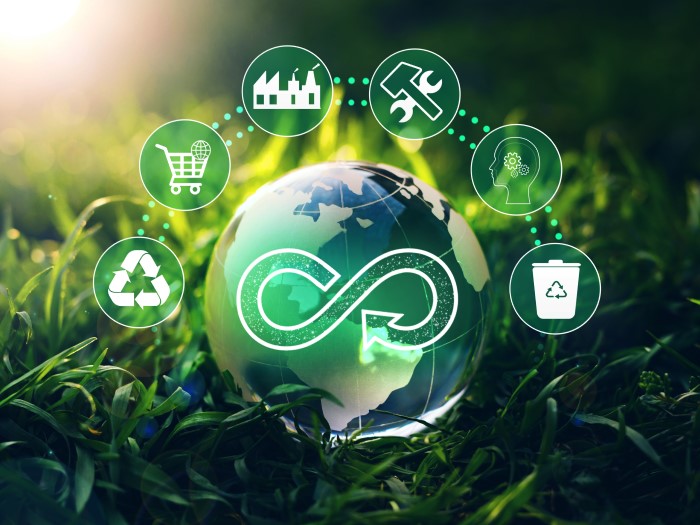 Economía circular reciclaje
