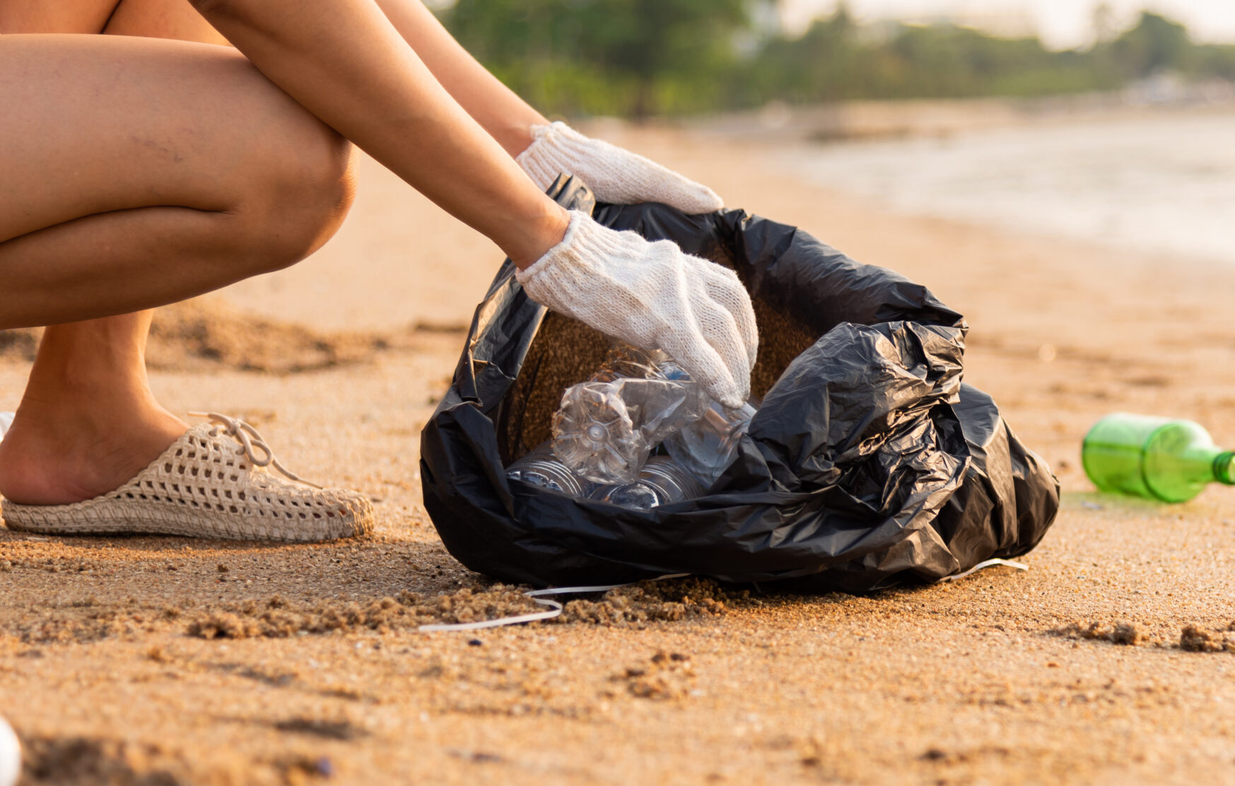 DÍa Mundial Sin Bolsas PlÁsticas Investigación De La Unab Mediría La