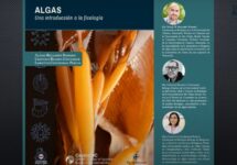 Académicos de la Facultad de Ciencias de la Vida UNAB publican libro “Algas, una introducción a la ficología”