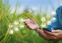 Post COP 27 | Cómo la Agricultura basada en Economía Circular y ecológica disminuye el calentamiento global y el impacto del cambio climático