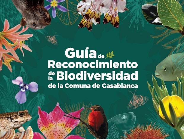 Cimarq Biodiversidad
